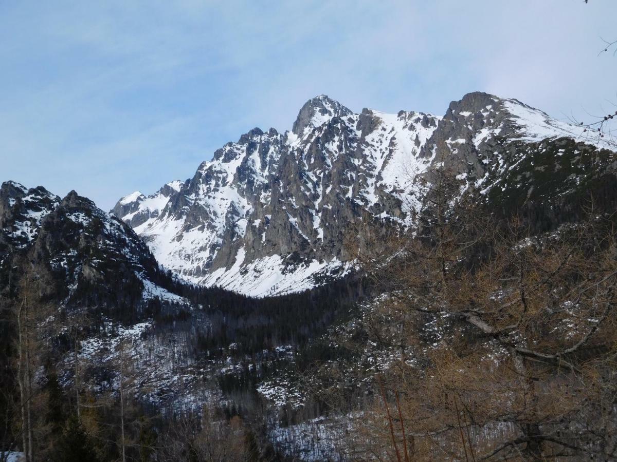 شقة High Tatras - Patris 27 تاترانسكا ستربا المظهر الخارجي الصورة