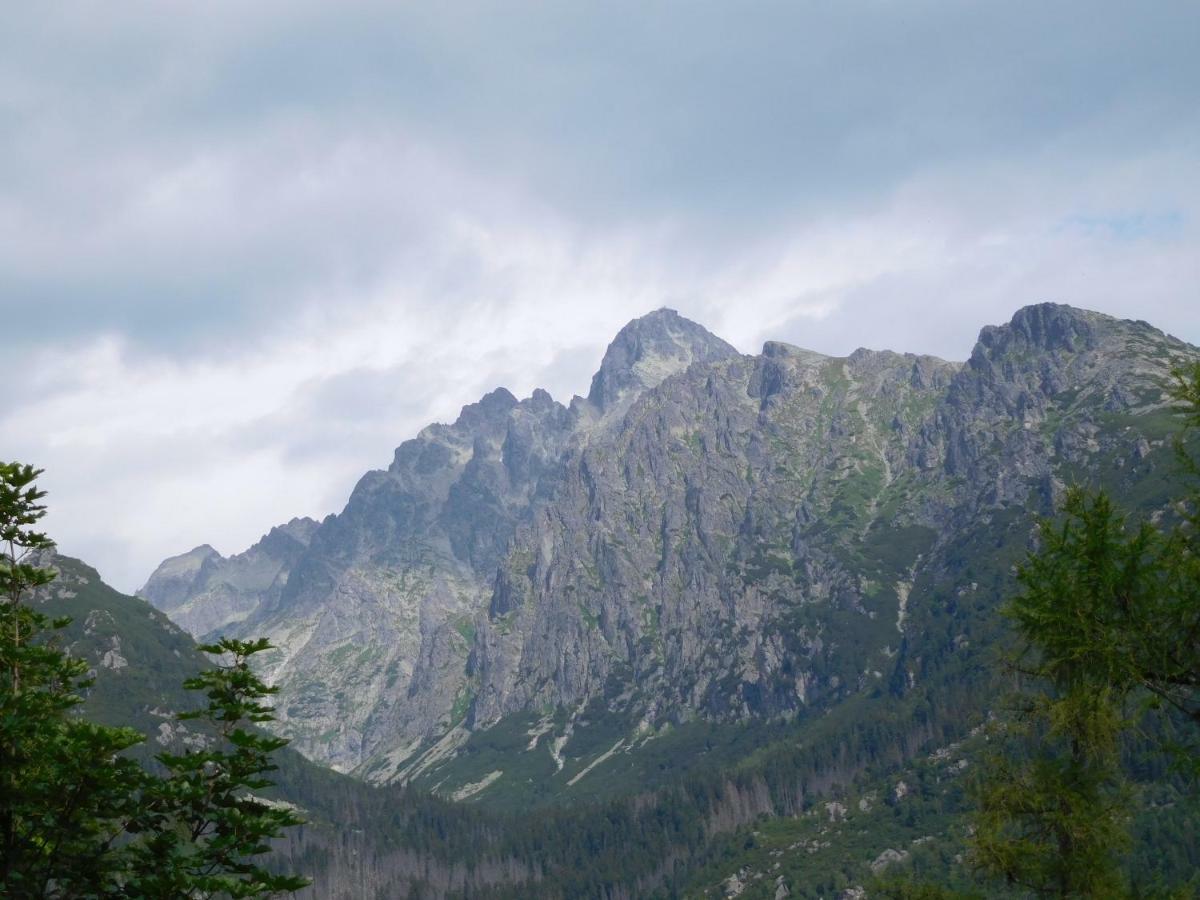 شقة High Tatras - Patris 27 تاترانسكا ستربا المظهر الخارجي الصورة